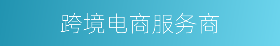 跨境电商服务商的同义词
