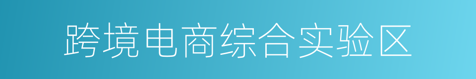 跨境电商综合实验区的同义词