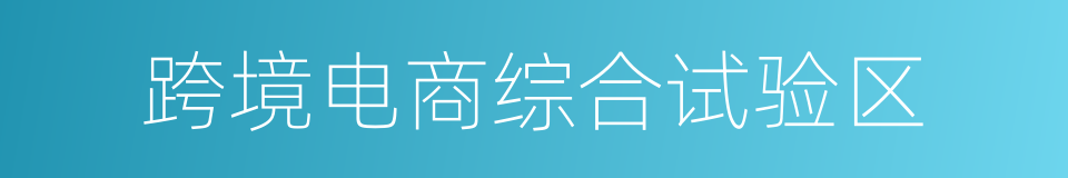 跨境电商综合试验区的同义词