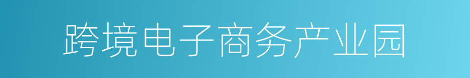 跨境电子商务产业园的同义词