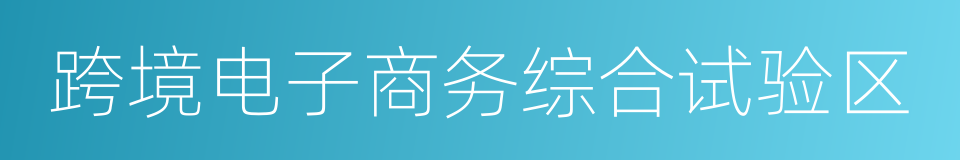 跨境电子商务综合试验区的同义词