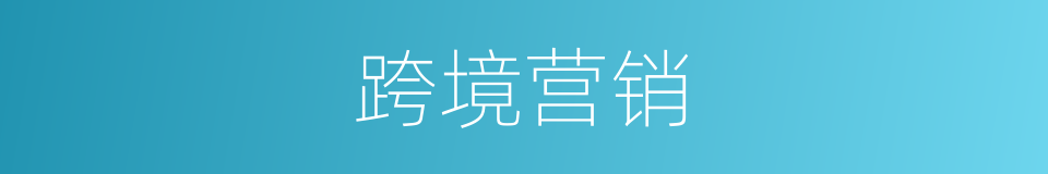 跨境营销的同义词