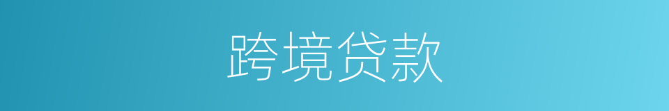 跨境贷款的同义词