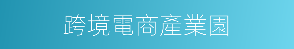 跨境電商產業園的同義詞