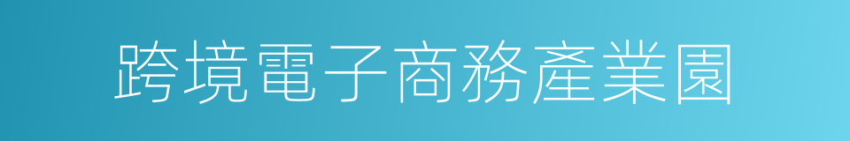 跨境電子商務產業園的同義詞