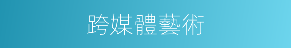 跨媒體藝術的同義詞