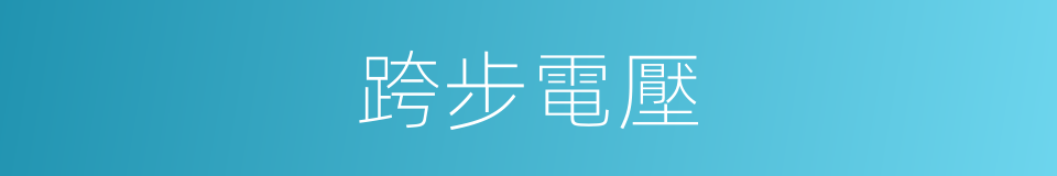跨步電壓的意思