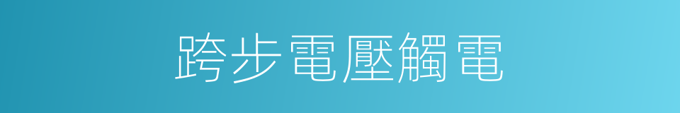 跨步電壓觸電的同義詞