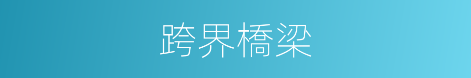 跨界橋梁的同義詞