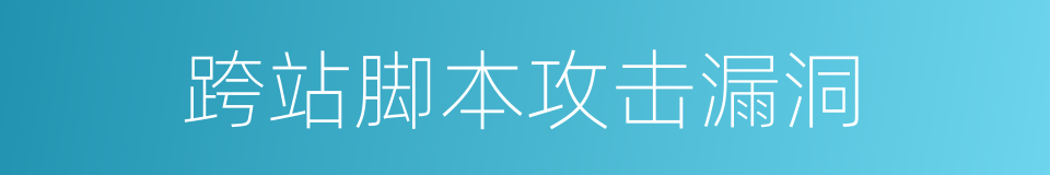 跨站脚本攻击漏洞的同义词
