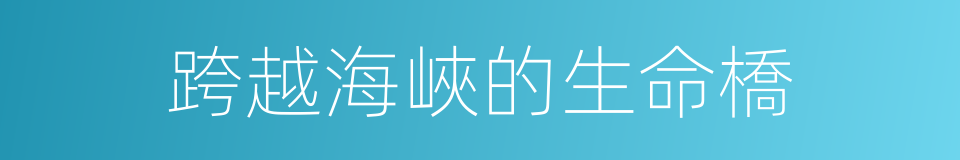 跨越海峽的生命橋的同義詞