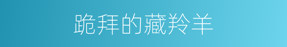 跪拜的藏羚羊的同义词