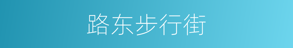 路东步行街的同义词
