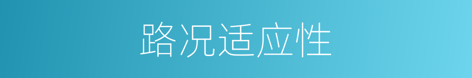 路况适应性的同义词