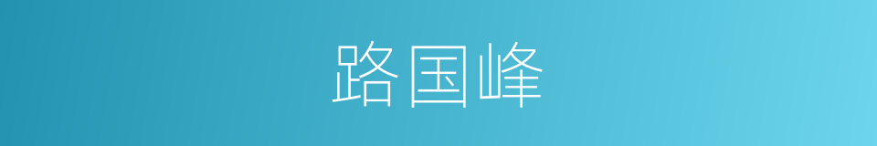 路国峰的同义词