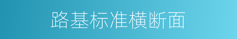 路基标准横断面的同义词