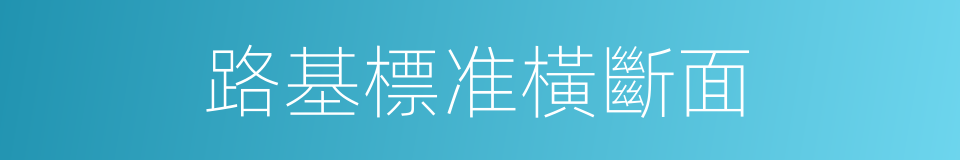 路基標准橫斷面的同義詞