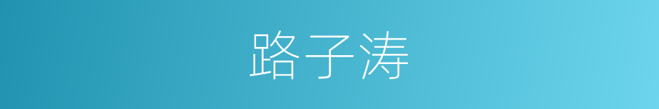 路子涛的同义词