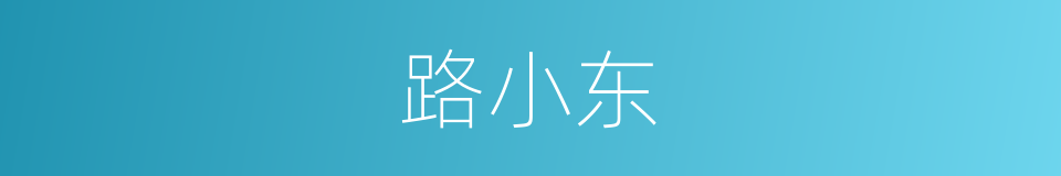 路小东的同义词