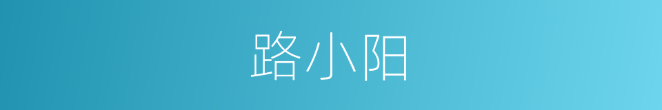 路小阳的同义词