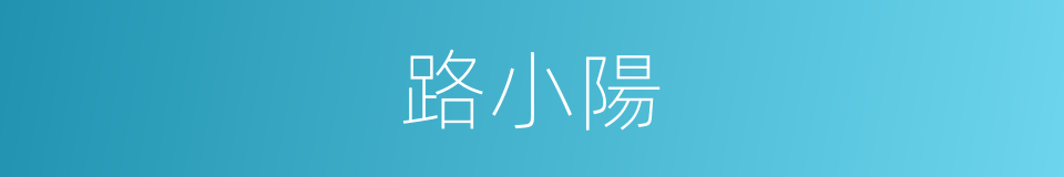 路小陽的同義詞