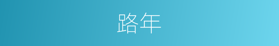 路年的同义词