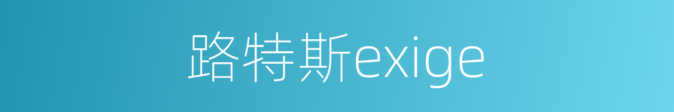 路特斯exige的同义词