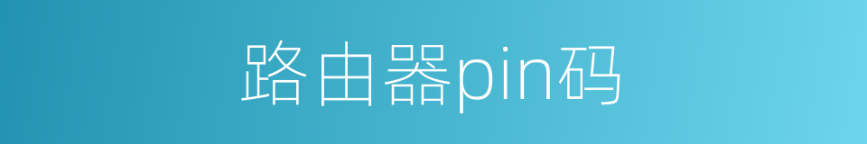 路由器pin码的同义词