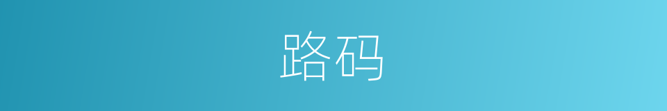 路码的同义词