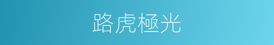 路虎極光的同義詞