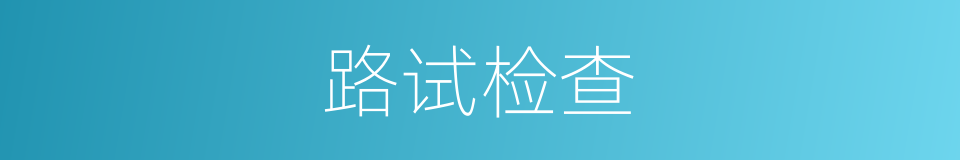 路试检查的同义词
