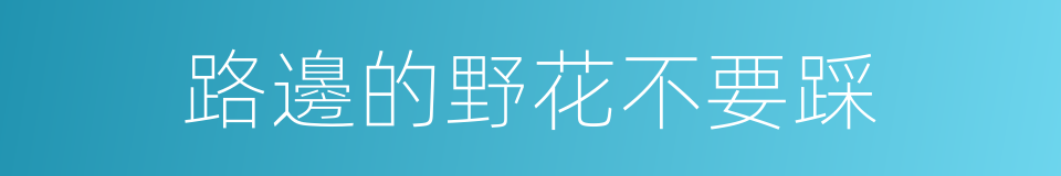 路邊的野花不要踩的同義詞