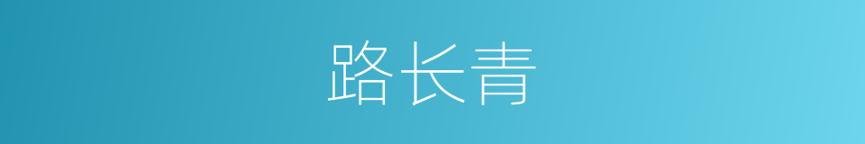 路长青的同义词