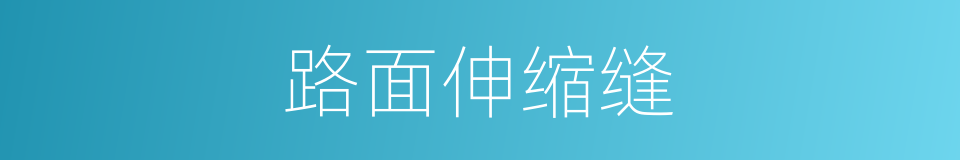 路面伸缩缝的同义词