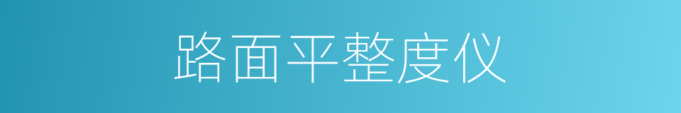 路面平整度仪的同义词
