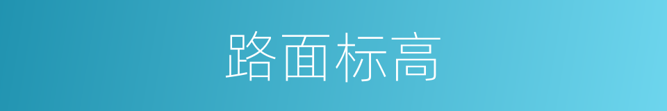 路面标高的同义词
