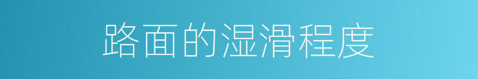 路面的湿滑程度的同义词