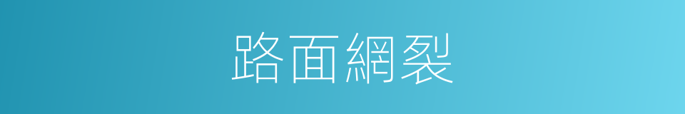 路面網裂的同義詞