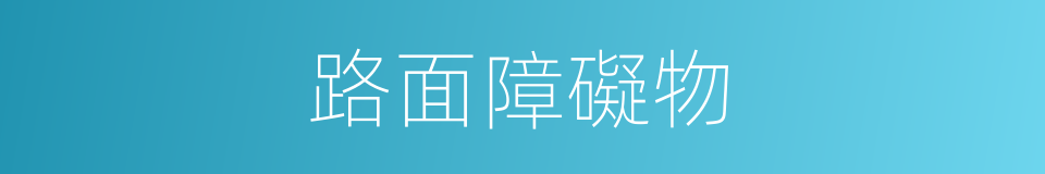 路面障礙物的同義詞