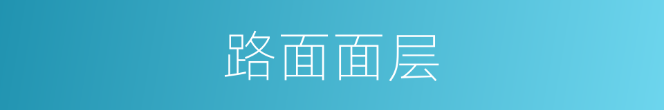 路面面层的同义词
