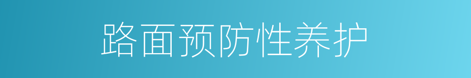 路面预防性养护的同义词