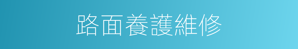 路面養護維修的同義詞