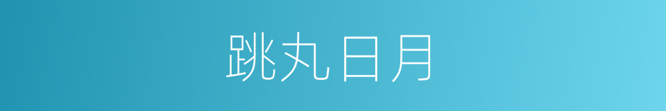 跳丸日月的意思