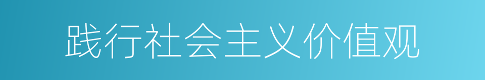 践行社会主义价值观的同义词