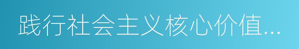 践行社会主义核心价值体系的同义词