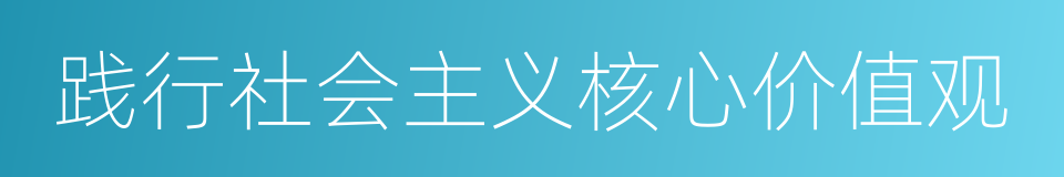 践行社会主义核心价值观的同义词