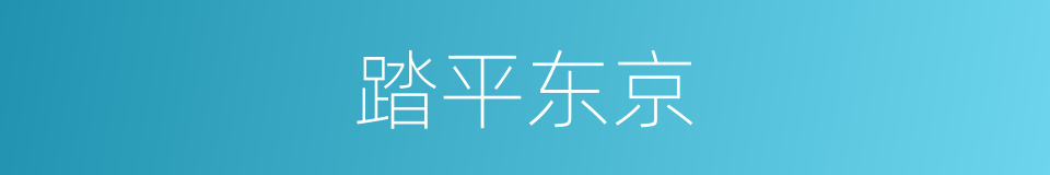 踏平东京的同义词