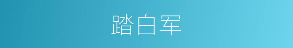 踏白军的意思