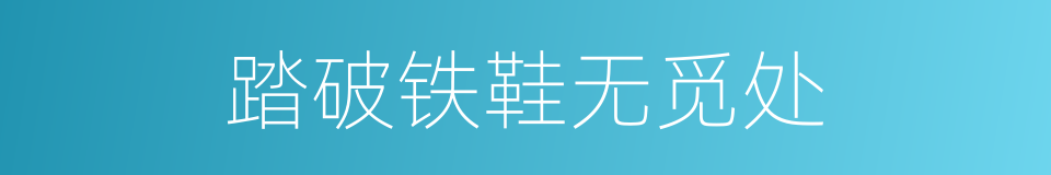 踏破铁鞋无觅处的意思