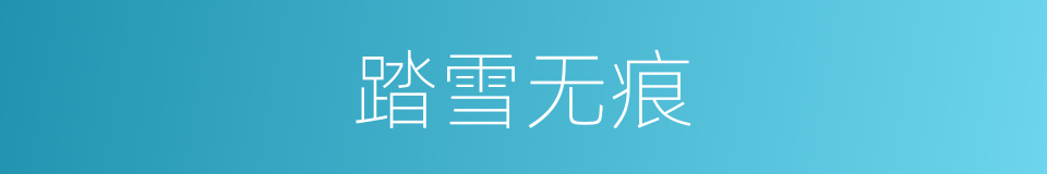 踏雪无痕的意思